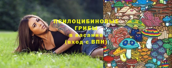 ALPHA-PVP Нязепетровск