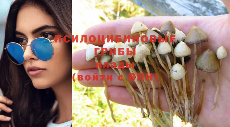 Псилоцибиновые грибы Magic Shrooms  omg ссылки  Кемь 